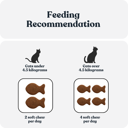Urinary & Kidney Chews for Cats