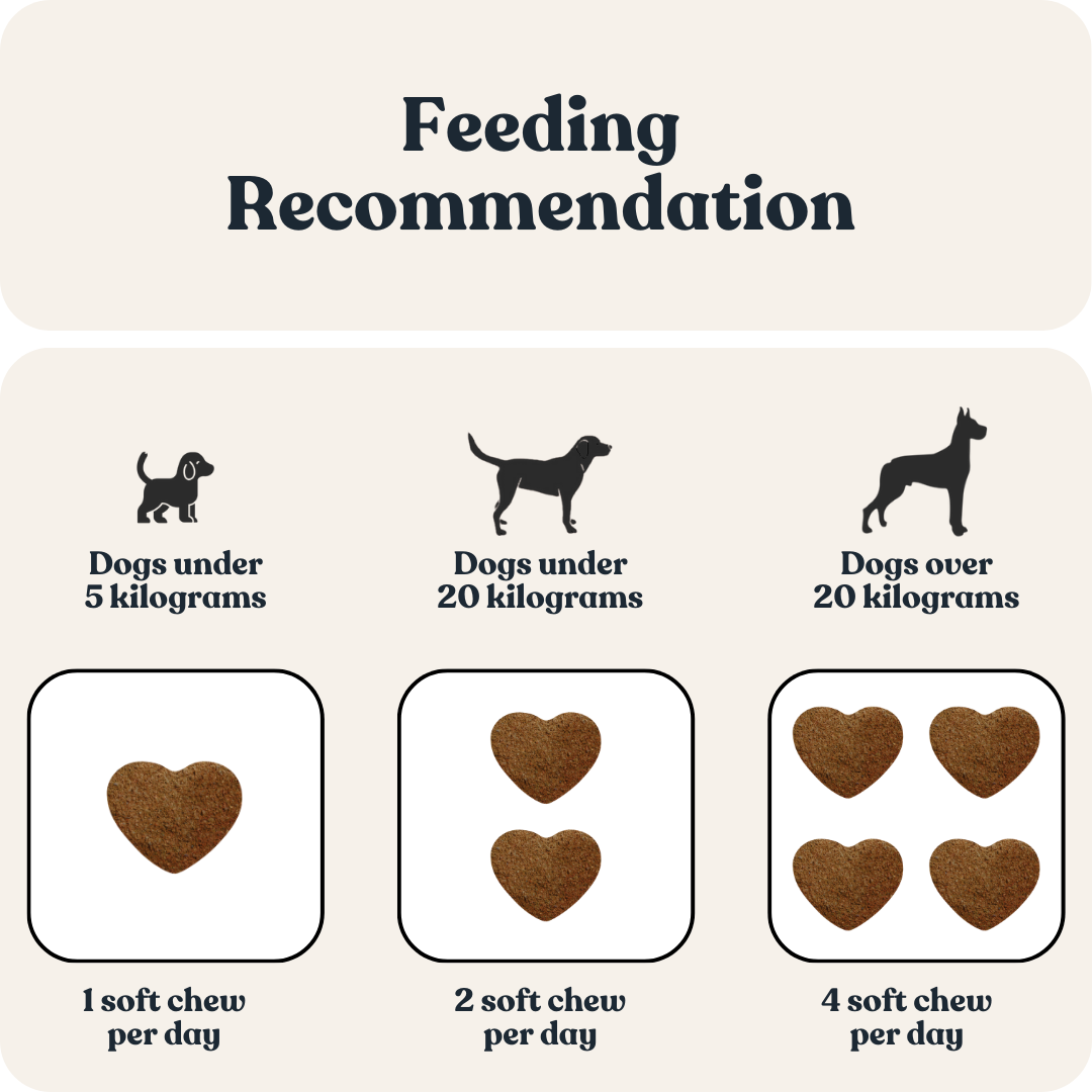 Hip & Joint Care for Dogs
