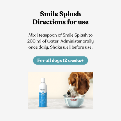 🎁🐶 FREE Gift: Smile Splash (Value 85 MYR)