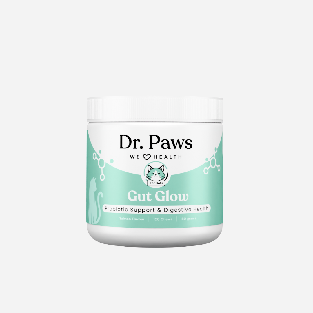 Gut Glow for Cats