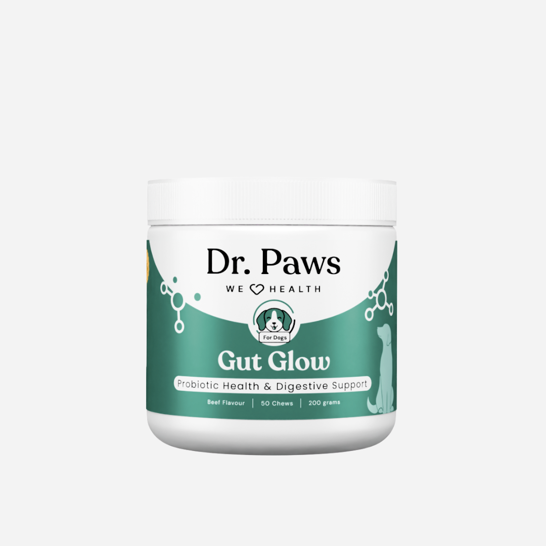 Gut Glow for Dogs