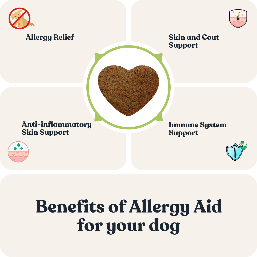 Allergy Aid