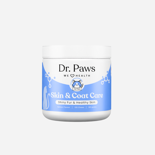 Skin & Coat Care for Cats